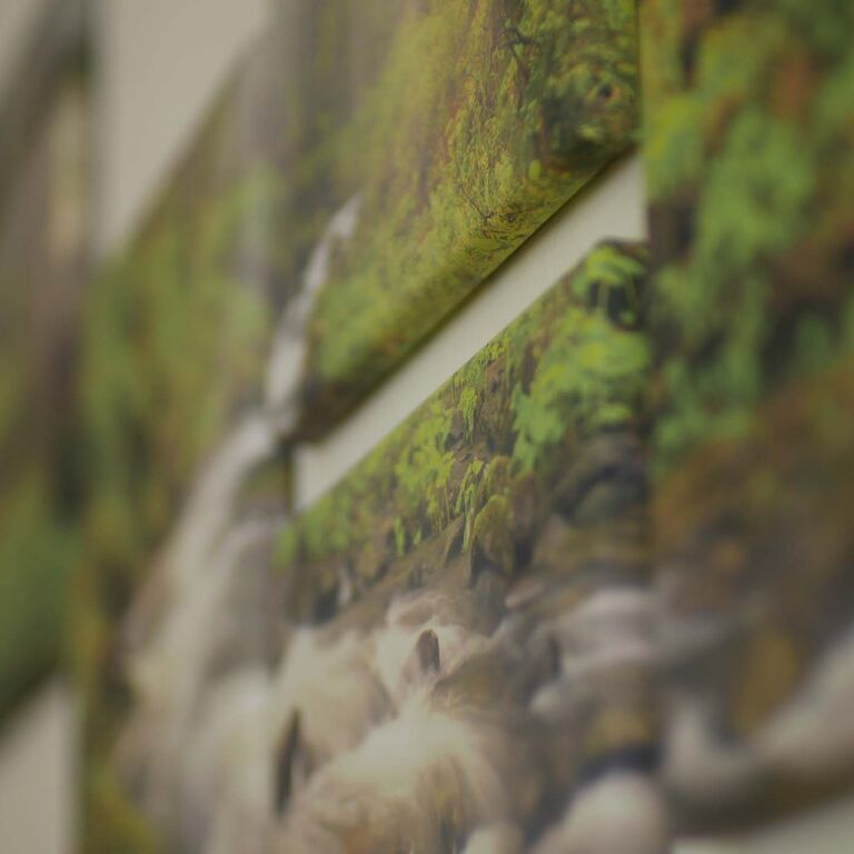 Wandbilder von einem Waldboden mit wilden Bach und Moosboden. Fotografiert in einem schiefen Winkel